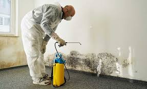 Mold Removal for HVAC Installations in Safety Harbor, FL